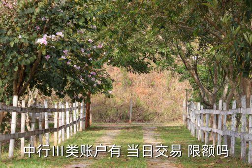 中行Ⅲ類賬戶有 當日交易 限額嗎