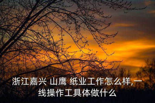 浙江嘉興 山鷹 紙業(yè)工作怎么樣,一線操作工具體做什么