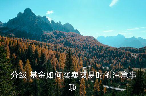  分級(jí) 基金如何買賣交易時(shí)的注意事項(xiàng)