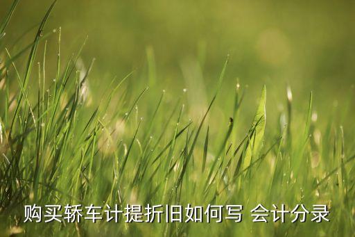 汽車用于投資的會計處理,接受無形資產(chǎn)投資會計處理