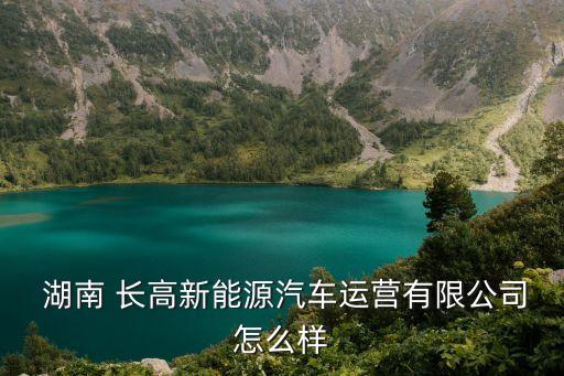 湖南長(zhǎng)高集團(tuán)