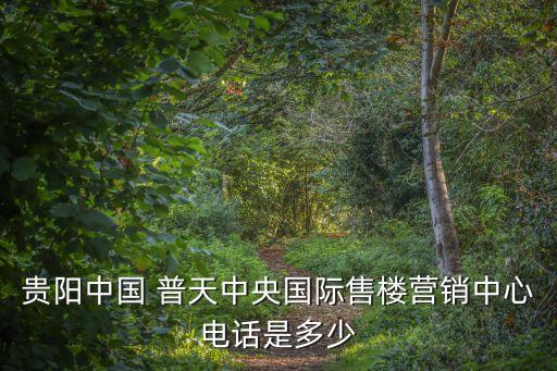 普天集團營業(yè),普天東方通信集團