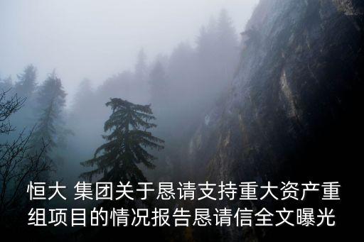  恒大 集團關(guān)于懇請支持重大資產(chǎn)重組項目的情況報告懇請信全文曝光