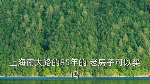 上海市中心老房子賣(mài)不動(dòng)了