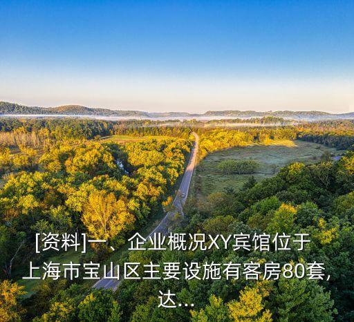 [資料]一、企業(yè)概況XY賓館位于 上海市寶山區(qū)主要設(shè)施有客房80套,達...