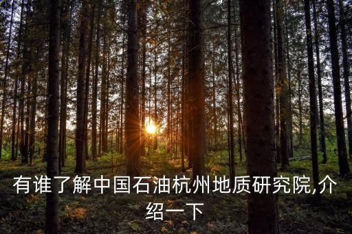 2014年油氣勘探公司先進(jìn)個(gè)人