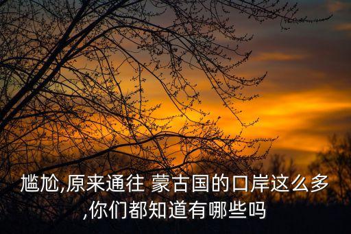 中國對蒙古國出口商品,中國商品出口蒙古國關稅報多少