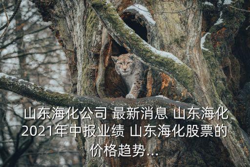 山東藍帆塑膠股份有限公司股票最新價格波動