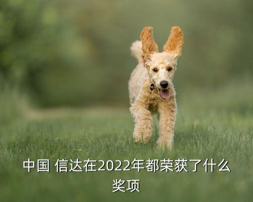 中國 信達(dá)在2022年都榮獲了什么獎(jiǎng)項(xiàng)