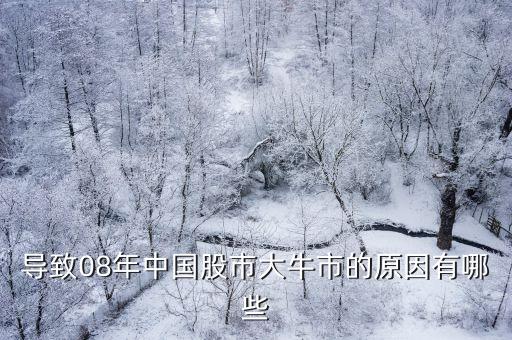 導(dǎo)致08年中國(guó)股市大牛市的原因有哪些