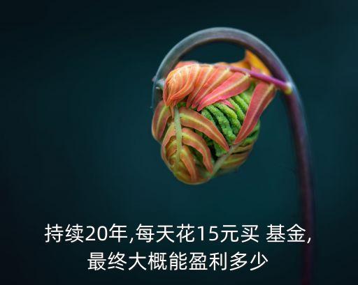 持續(xù)20年,每天花15元買(mǎi) 基金,最終大概能盈利多少
