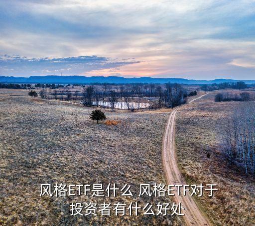  風格ETF是什么 風格ETF對于投資者有什么好處