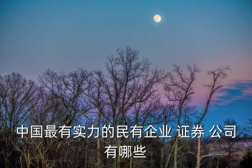 中國最有實力的民有企業(yè) 證券 公司有哪些