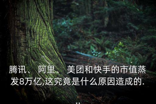 騰訊、 阿里、 美團(tuán)和快手的市值蒸發(fā)8萬億,這究竟是什么原因造成的...