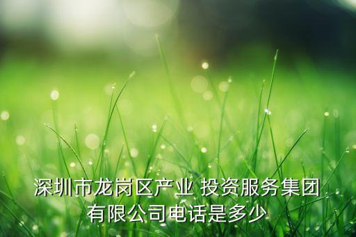 深圳市龍崗區(qū)產(chǎn)業(yè) 投資服務(wù)集團 有限公司電話是多少