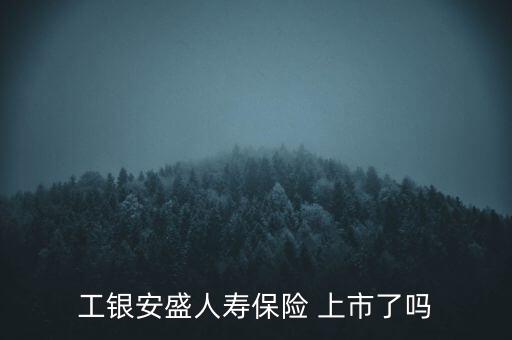 工銀安盛人壽保險(xiǎn) 上市了嗎