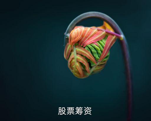股份有限公司業(yè)績股票行權申請書
