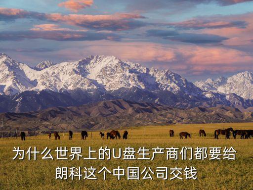 為什么世界上的U盤生產(chǎn)商們都要給 朗科這個(gè)中國公司交錢