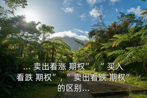 ... 賣出看漲 期權(quán)”,“ 買入看跌 期權(quán)”,“ 賣出看跌 期權(quán)”的區(qū)別...