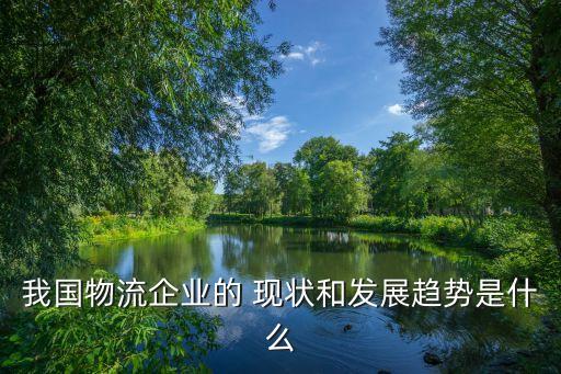 我國物流企業(yè)的 現(xiàn)狀和發(fā)展趨勢是什么
