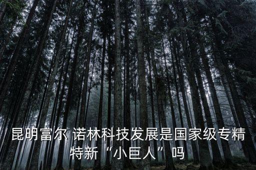 昆明富爾 諾林科技發(fā)展是國(guó)家級(jí)專(zhuān)精特新“小巨人”嗎