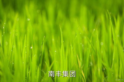 香港南豐集團