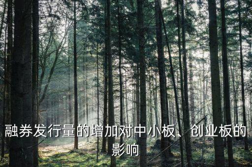 融券發(fā)行量的增加對(duì)中小板、創(chuàng)業(yè)板的影響
