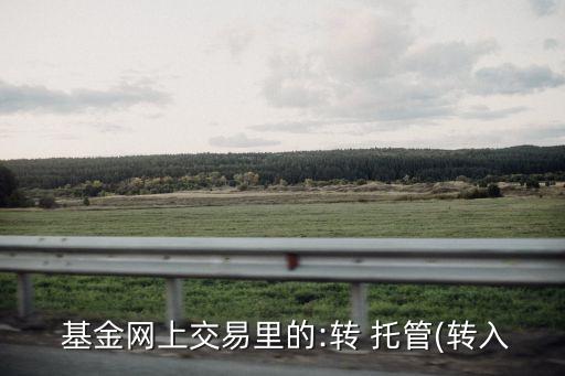哪種基金能轉(zhuǎn)托管,基金轉(zhuǎn)托管一步兩步怎么區(qū)分