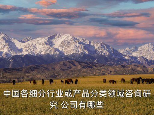 中國(guó)各細(xì)分行業(yè)或產(chǎn)品分類領(lǐng)域咨詢研究 公司有哪些