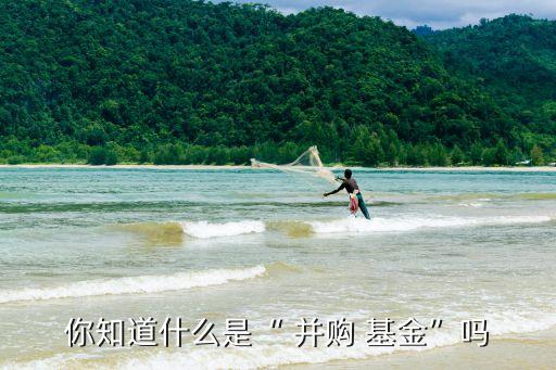 并購(gòu)基金與私募股權(quán)基金的區(qū)別,私募股權(quán)二級(jí)市場(chǎng)基金(S基金)