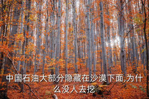 中國(guó)石油大部分隱藏在沙漠下面,為什么沒人去挖