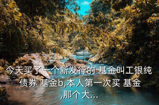 今天買了一個新發(fā)行的 基金叫工銀純 債券 基金b,本人第一次買 基金,那個大...