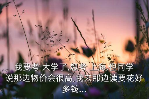 我要考 大學(xué)了,想考 上海,但同學(xué)說那邊物價(jià)會(huì)很高,我去那邊讀要花好多錢...