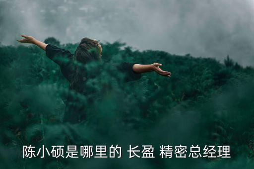 長(zhǎng)盈精密技術(shù)股份有限公司昆山,廣東長(zhǎng)盈精密技術(shù)股份有限公司電話