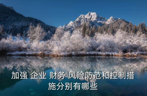 集團(tuán)企業(yè)財(cái)務(wù)風(fēng)險(xiǎn)管理,加強(qiáng)企業(yè)財(cái)務(wù)風(fēng)險(xiǎn)管理的重要性