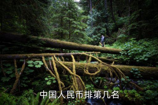中國人民幣排第幾名