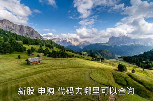 新股 申購 代碼去哪里可以查詢