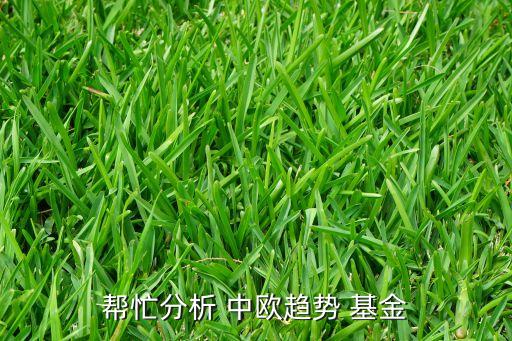 幫忙分析 中歐趨勢 基金