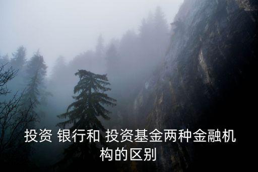  投資 銀行和 投資基金兩種金融機構(gòu)的區(qū)別