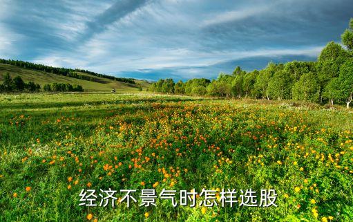 經(jīng)濟(jì)底迷投資啥