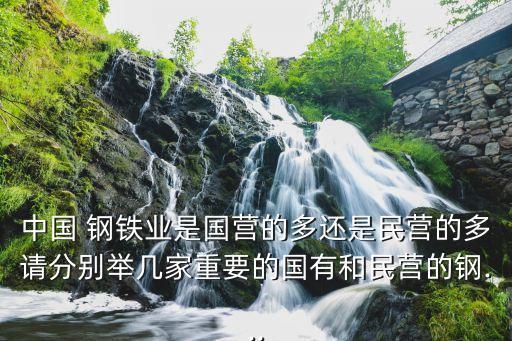 中國 鋼鐵業(yè)是國營的多還是民營的多請分別舉幾家重要的國有和民營的鋼...