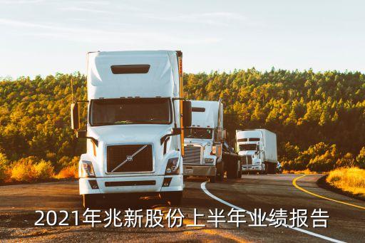 2021年兆新股份上半年業(yè)績報告