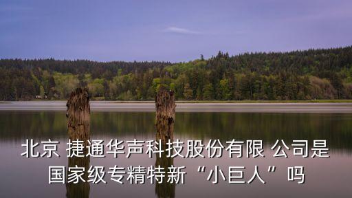 北京 捷通華聲科技股份有限 公司是國家級專精特新“小巨人”嗎
