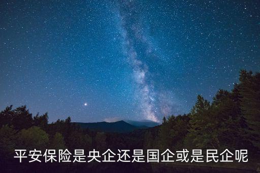  平安保險(xiǎn)是央企還是國企或是民企呢