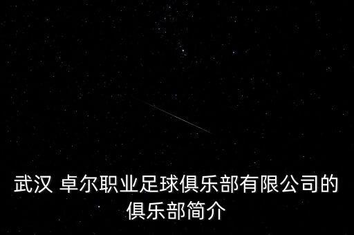武漢 卓爾職業(yè)足球俱樂(lè)部有限公司的俱樂(lè)部簡(jiǎn)介