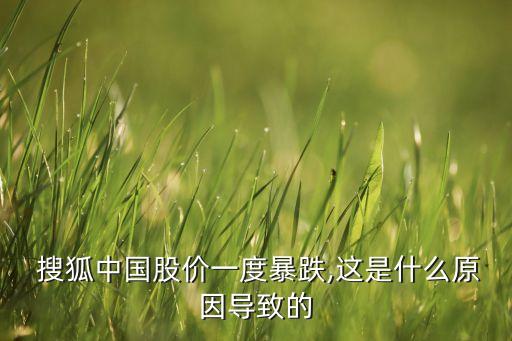  搜狐中國(guó)股價(jià)一度暴跌,這是什么原因?qū)е碌? class=