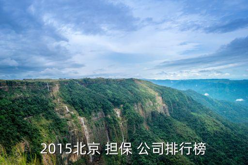 國(guó)內(nèi)大型擔(dān)保公司,國(guó)內(nèi)工程擔(dān)保公司排名