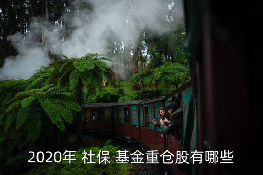 社?；鸪止擅麊?2023年社保基金持股