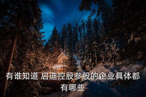 啟迪金融服務(wù)集團,天逸金融服務(wù)集團怎么樣