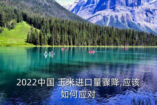 2022中國 玉米進口量驟降,應該如何應對